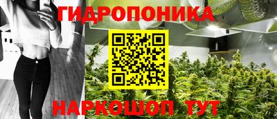 PSILOCYBIN Дубна