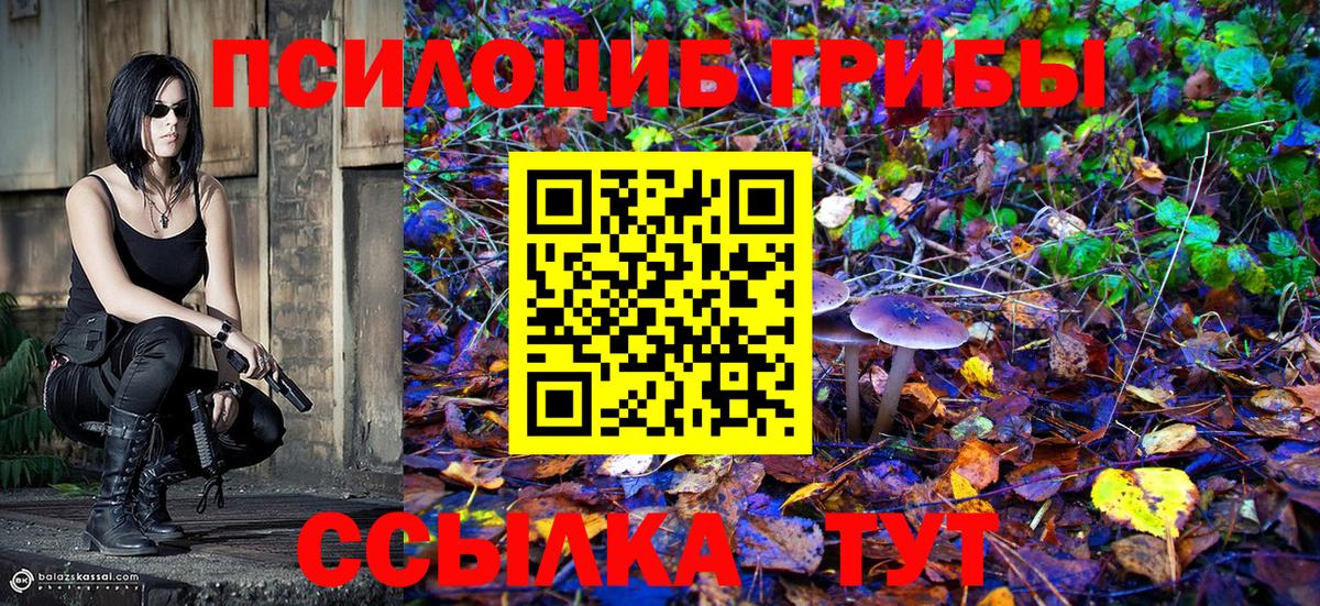 Кольчугино  Галлюциногенные грибы GOLDEN TEACHER  Вход с VPN 