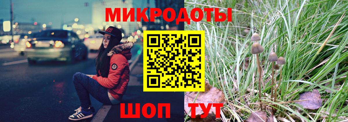 Галлюциногенные грибы MAGIC MUSHROOMS Кольчугино